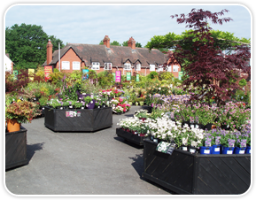 Port_Sunlight_Garden_Image_03