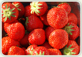 Tip top tomatoes