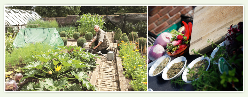 Port_Sunlight_Garden_Image_03