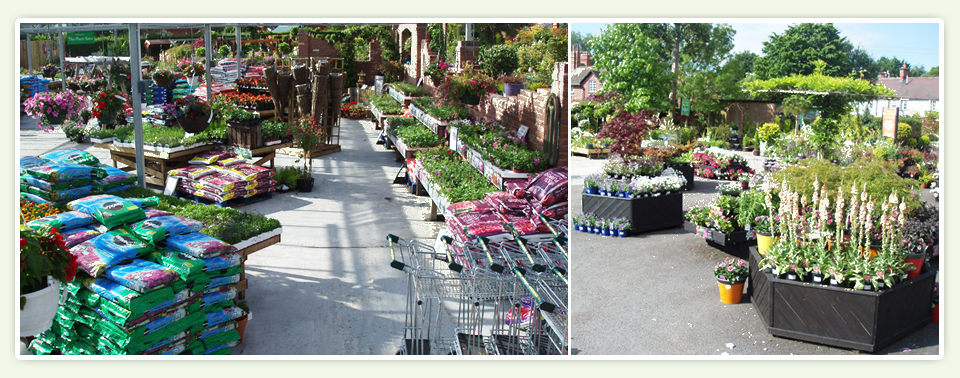 Port_Sunlight_Outdoor_Plants_01
