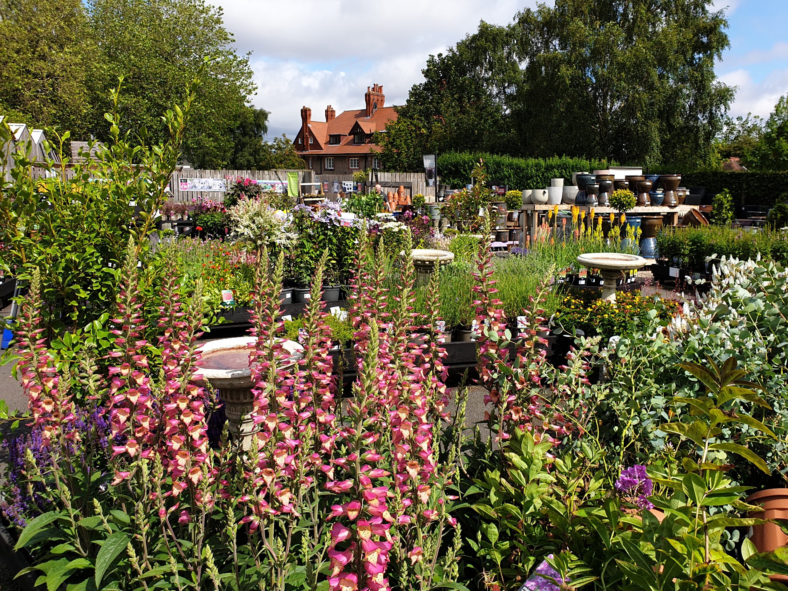 Outdoor Plants Port Sunlight Garden Centre and Cafe