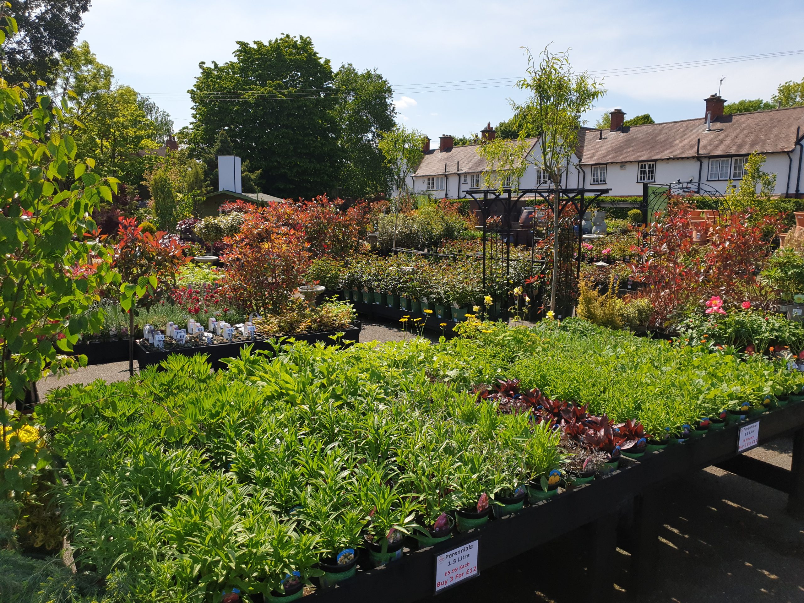 Outdoor Plants Port Sunlight Garden Centre and Cafe