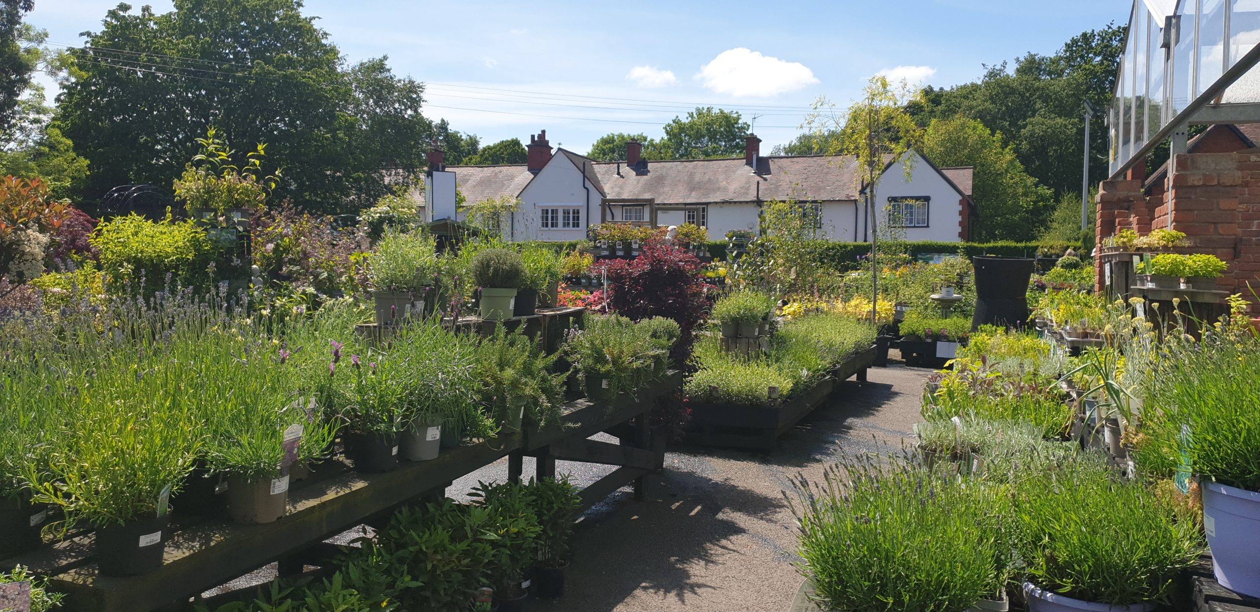 Port Sunlight Garden Centre The Wirral Garden Centre