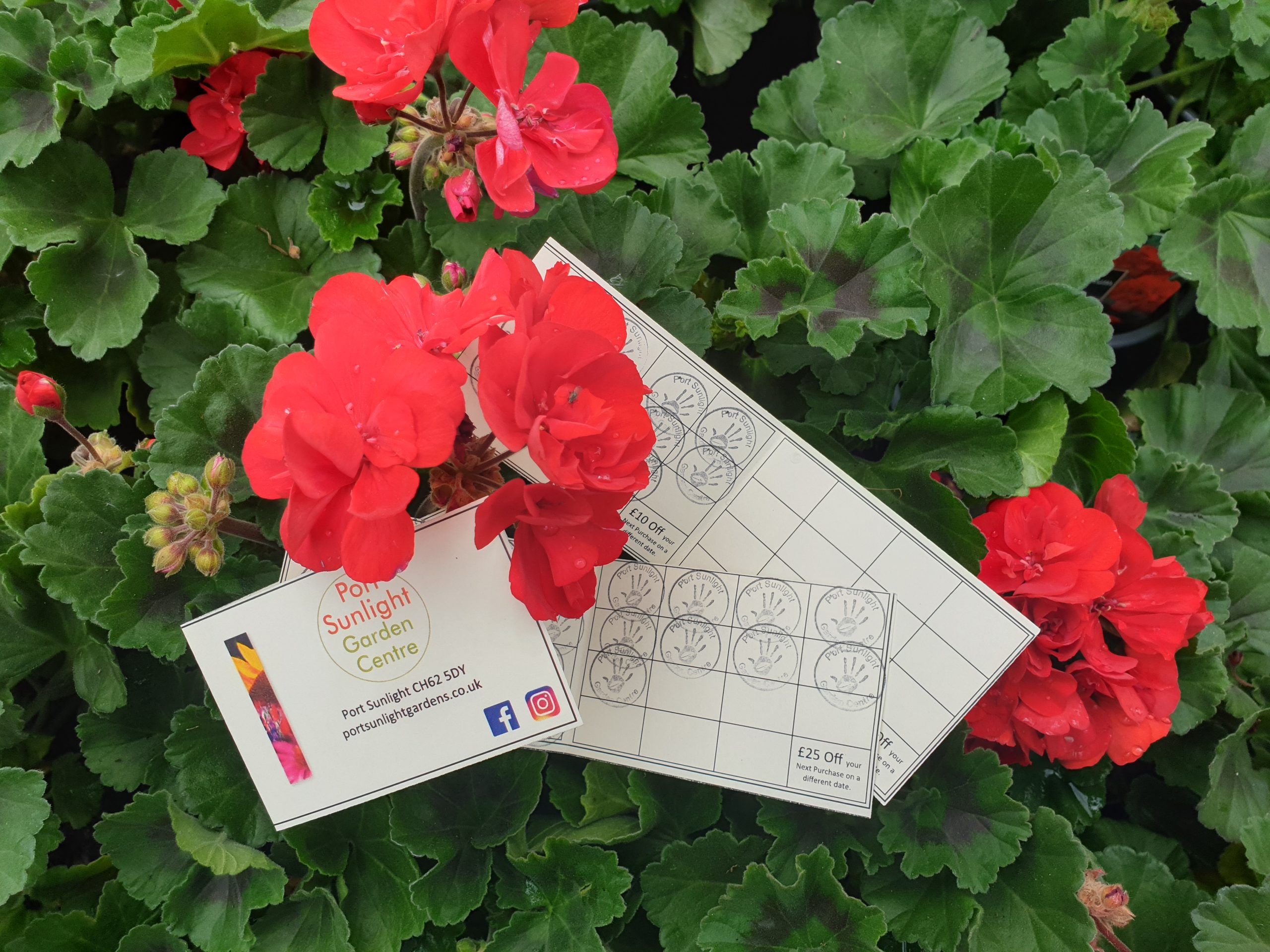 Port Sunlight Garden Centre The Wirral Garden Centre