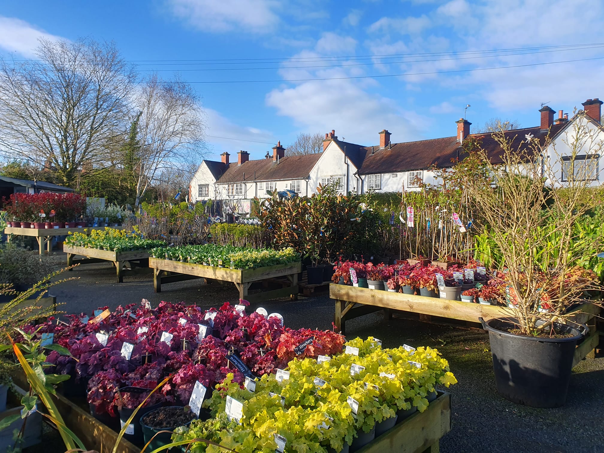 Top 10 Garden Centres On The Wirral